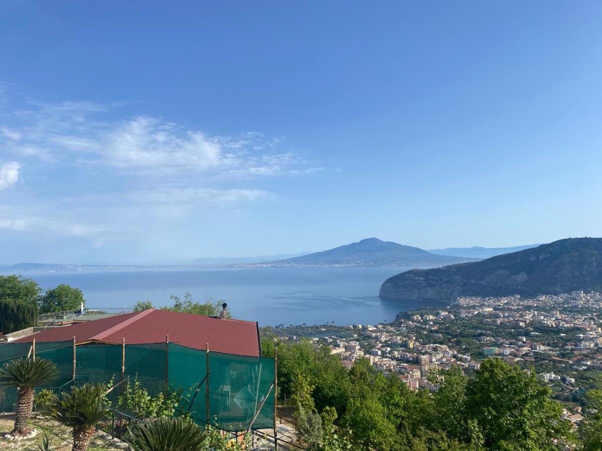 Villa Monica B&B Σορέντο Εξωτερικό φωτογραφία
