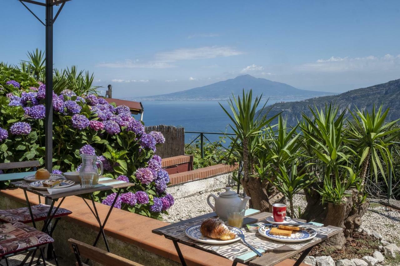 Villa Monica B&B Σορέντο Εξωτερικό φωτογραφία