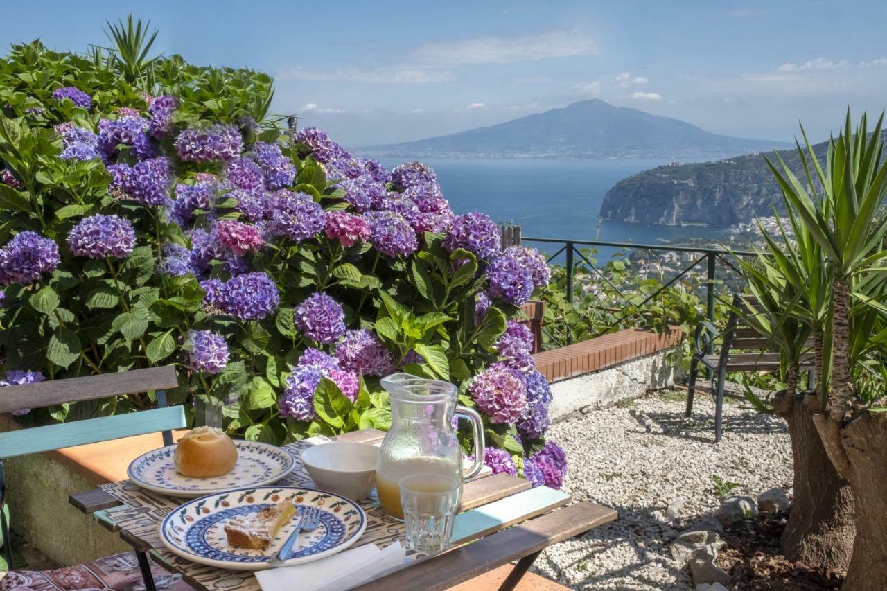Villa Monica B&B Σορέντο Εξωτερικό φωτογραφία