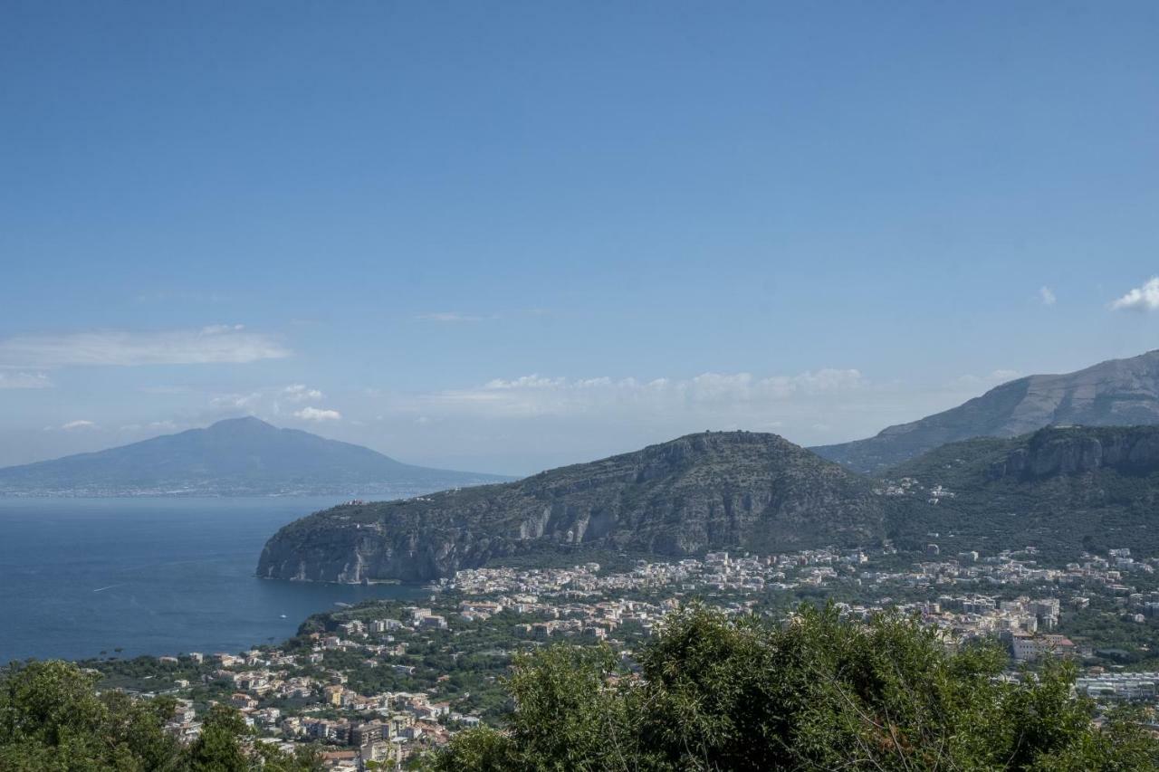 Villa Monica B&B Σορέντο Εξωτερικό φωτογραφία